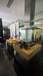 The Legend (D10), Condominium #613562491
